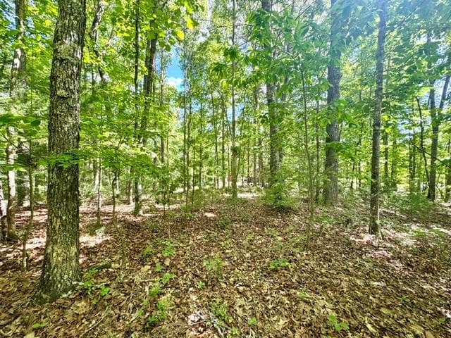 LT 3 Rockridge Road, Murphy 26906 - Primary photo