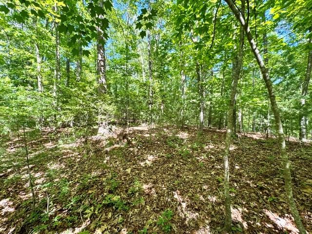 LT 3 Rockridge Road, Murphy 26906 - Photo