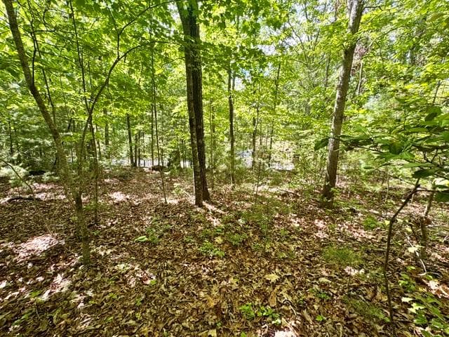LT 3 Rockridge Road, Murphy 26906 - Photo