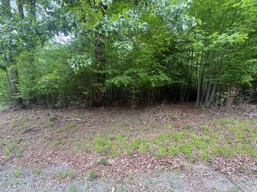 LOT 18 Lost River Trail, Hayesville NC 28904 - Photo