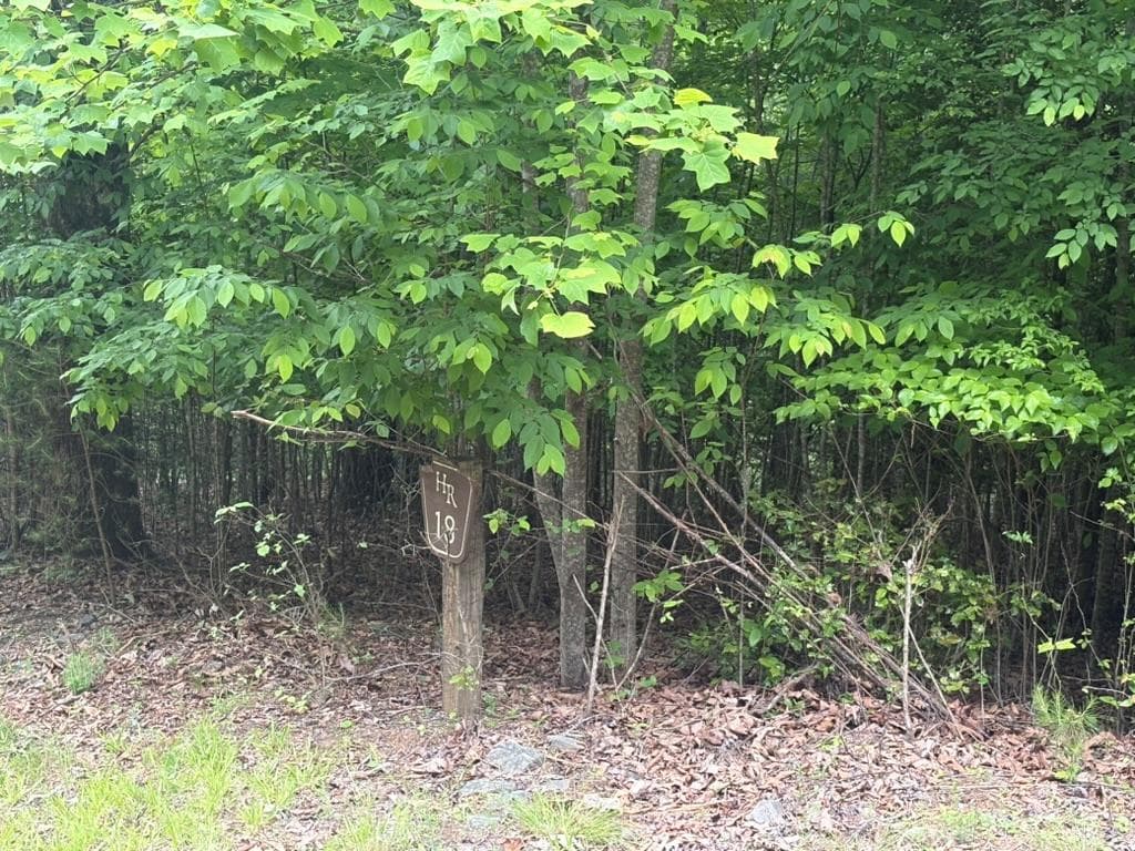 LOT 18 Lost River Trail, Hayesville NC 28904 - Photo