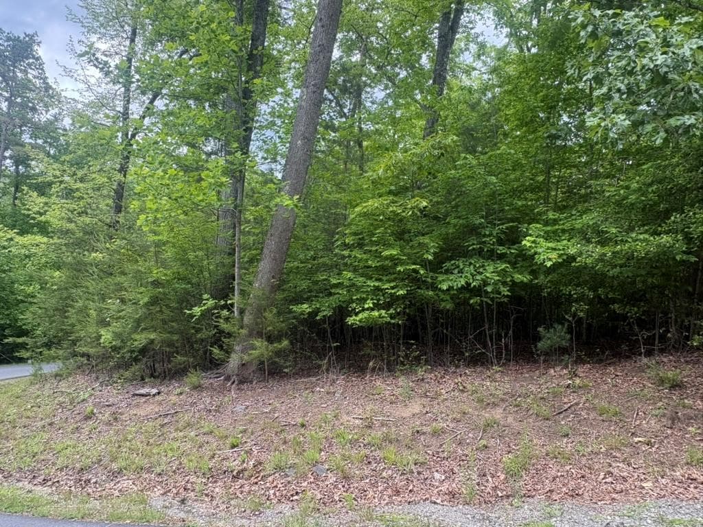 LOT 18 Lost River Trail, Hayesville NC 28904 - Photo