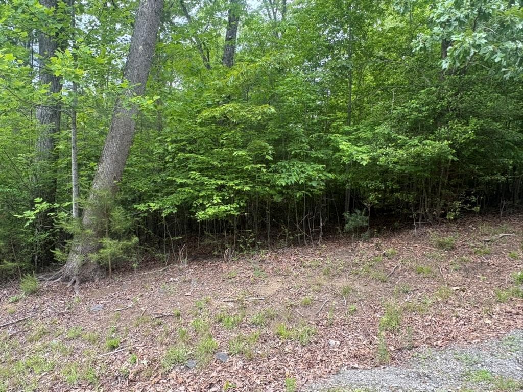 LOT 18 Lost River Trail, Hayesville NC 28904 - Primary photo