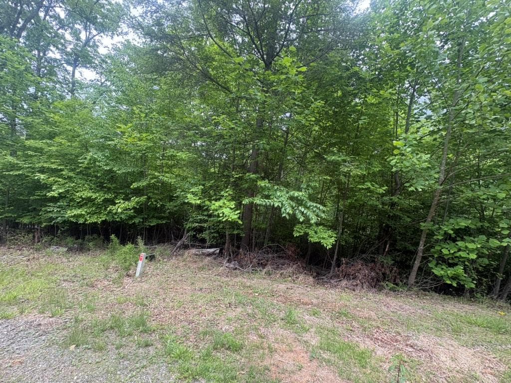 LOT 18 Lost River Trail, Hayesville NC 28904 - Photo
