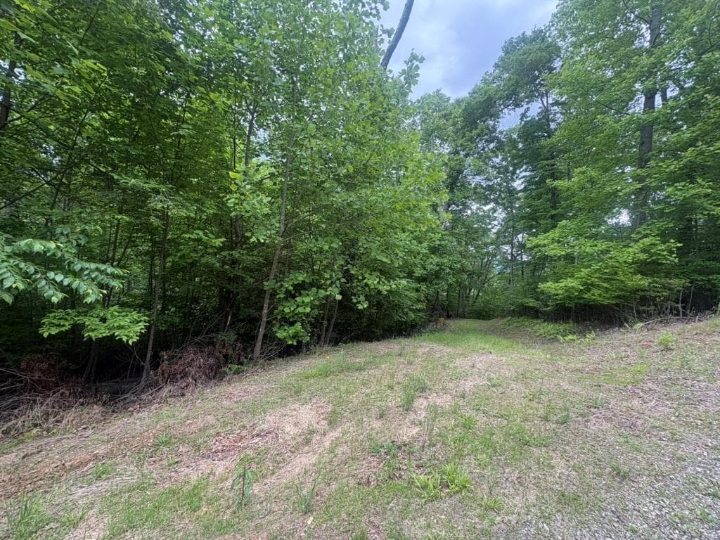 LOT 18 Lost River Trail, Hayesville NC 28904 - Photo