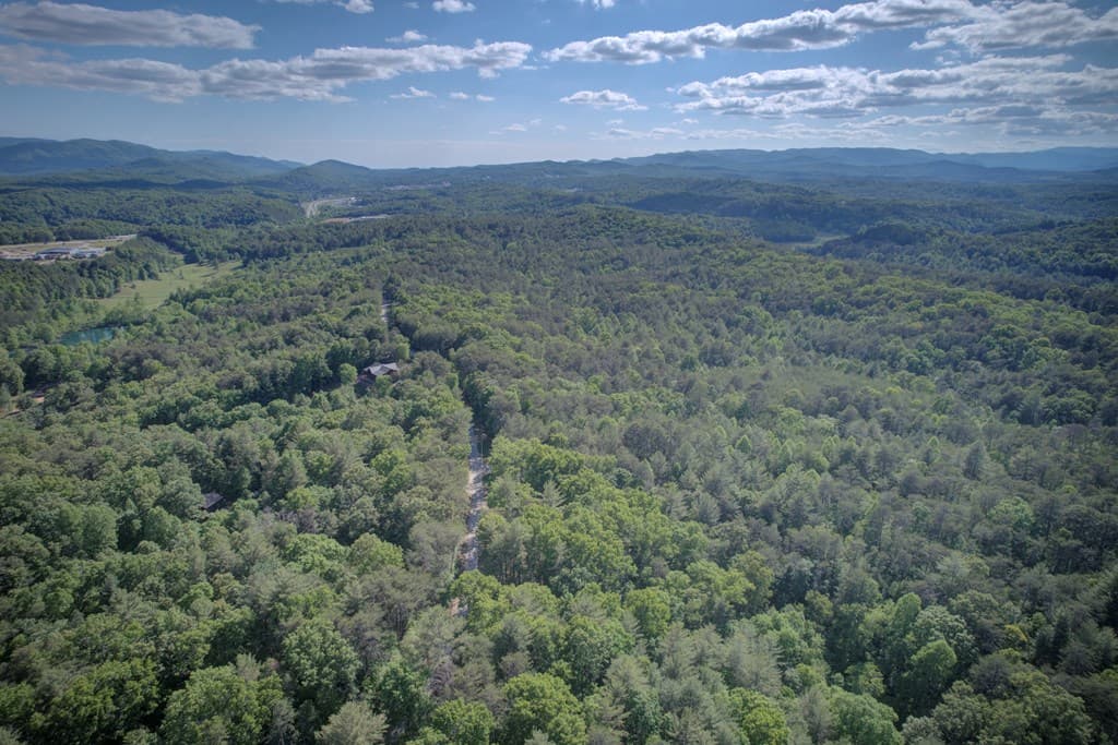 218 Bench Leg Road, Mineral Bluff GA 30559 - Photo