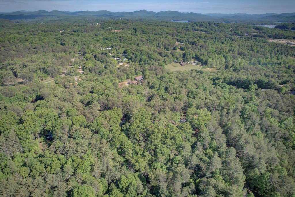 218 Bench Leg Road, Mineral Bluff GA 30559 - Photo