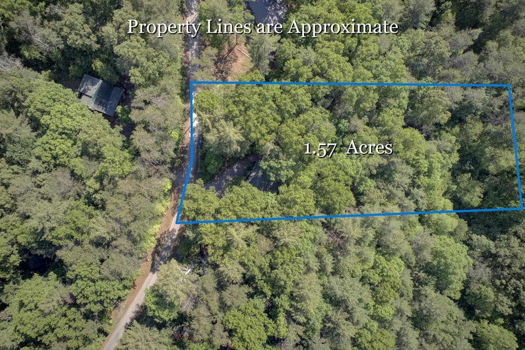 218 Bench Leg Road, Mineral Bluff GA 30559 - Photo