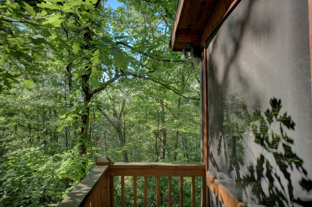 218 Bench Leg Road, Mineral Bluff GA 30559 - Photo
