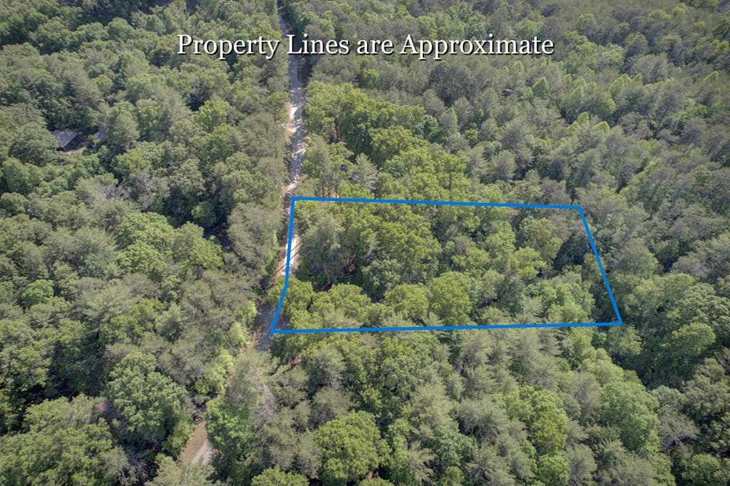 218 Bench Leg Road, Mineral Bluff GA 30559 - Photo