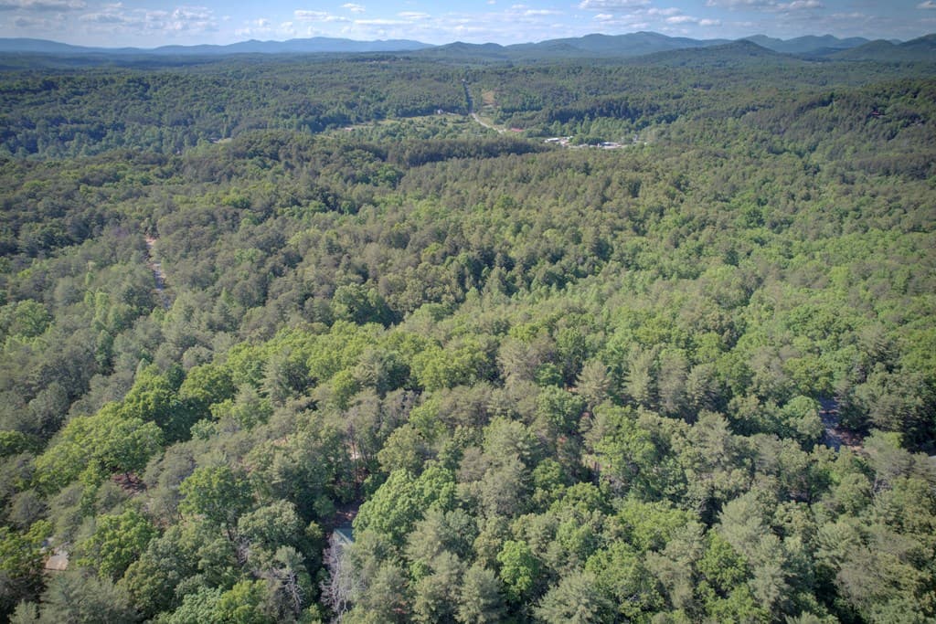218 Bench Leg Road, Mineral Bluff GA 30559 - Photo