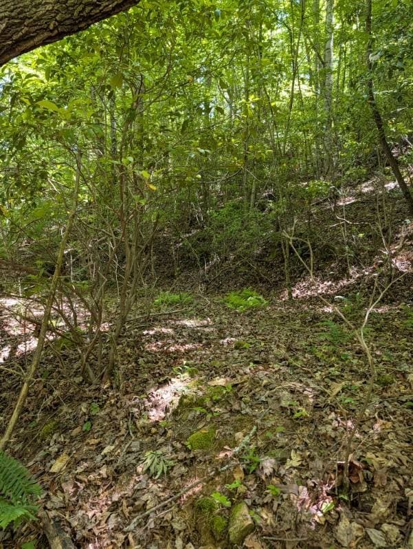 00 Talc Mine Road, Murphy NC 28906 - Photo