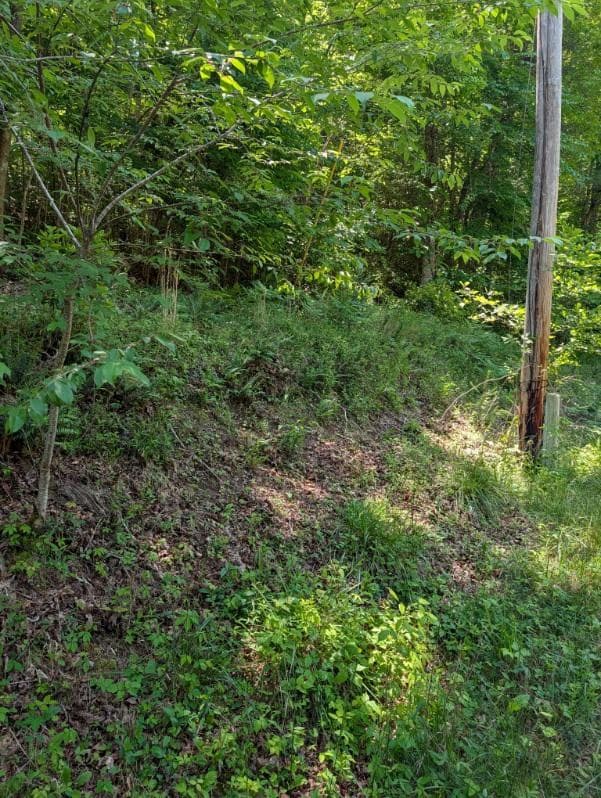 00 Talc Mine Road, Murphy NC 28906 - Photo