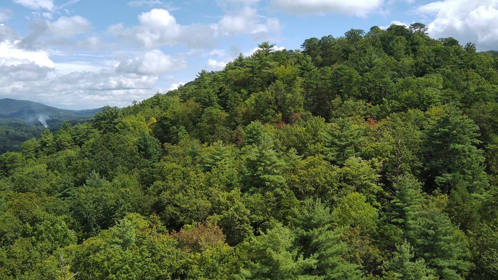 Lot 5 Sequoia Hills Ln, Clayton GA 30525 - Photo