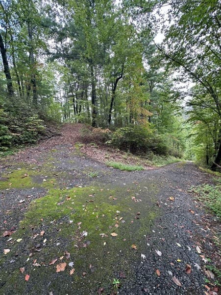 Lot 5 Sequoia Hills Ln, Clayton GA 30525 - Photo