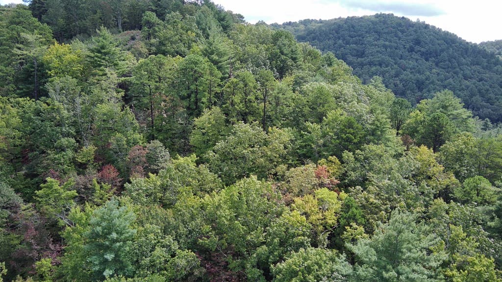 Lot 7 Sequoia Hills Ln, Clayton GA 30525 - Photo