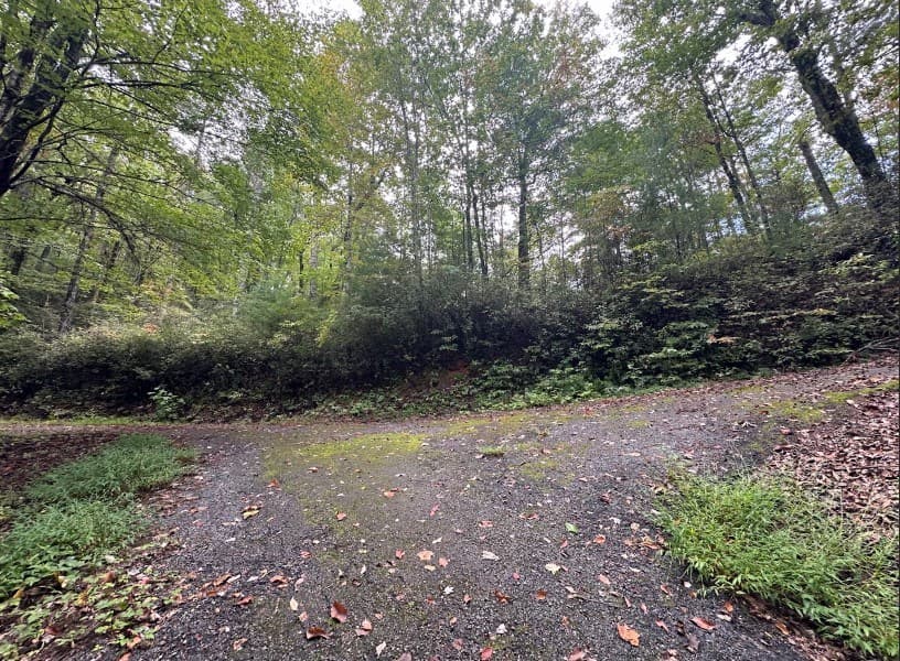 Lot 7 Sequoia Hills Ln, Clayton GA 30525 - Photo