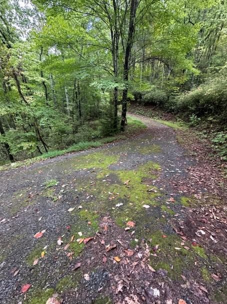 Lot 7 Sequoia Hills Ln, Clayton GA 30525 - Photo