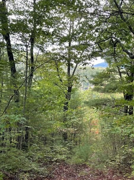 Lot 7 Sequoia Hills Ln, Clayton GA 30525 - Photo