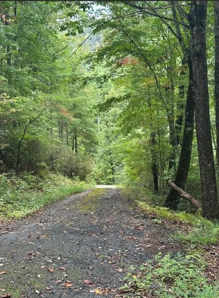 Lot 7 Sequoia Hills Ln, Clayton GA 30525 - Photo