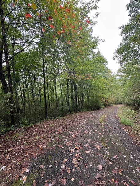 Lot 7 Sequoia Hills Ln, Clayton GA 30525 - Photo
