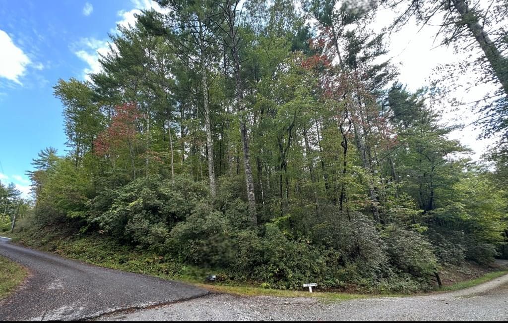 Lot 6 Sequoia Hills Ln, Clayton GA 30525 - Photo