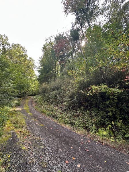 Lot 6 Sequoia Hills Ln, Clayton GA 30525 - Photo