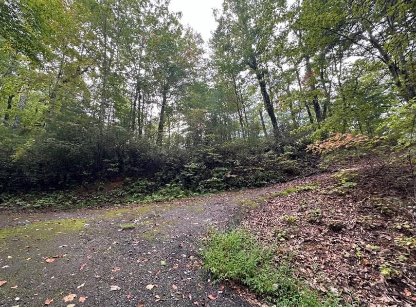 Lot 6 Sequoia Hills Ln, Clayton GA 30525 - Photo