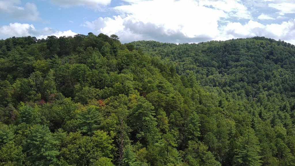 Lot 6 Sequoia Hills Ln, Clayton GA 30525 - Photo