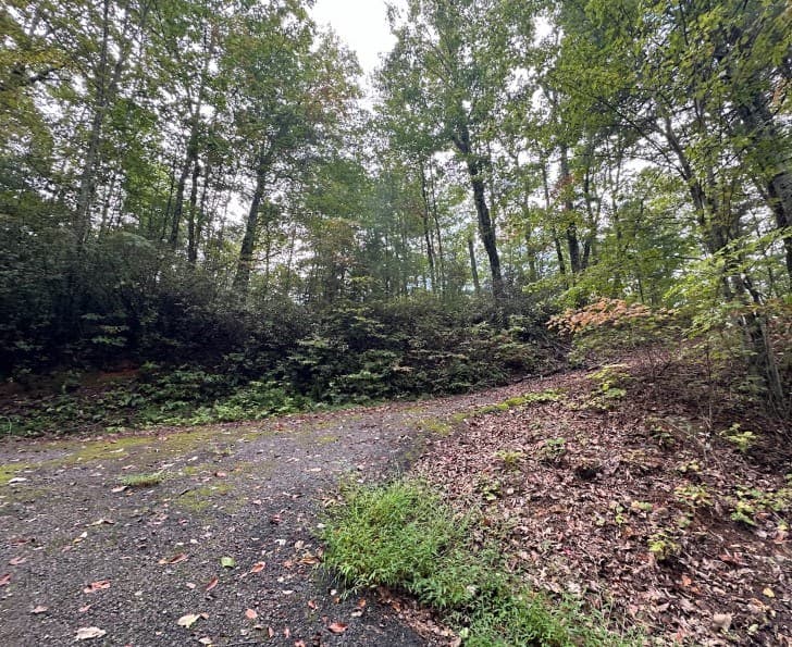 Lot 6 Sequoia Hills Ln, Clayton GA 30525 - Photo