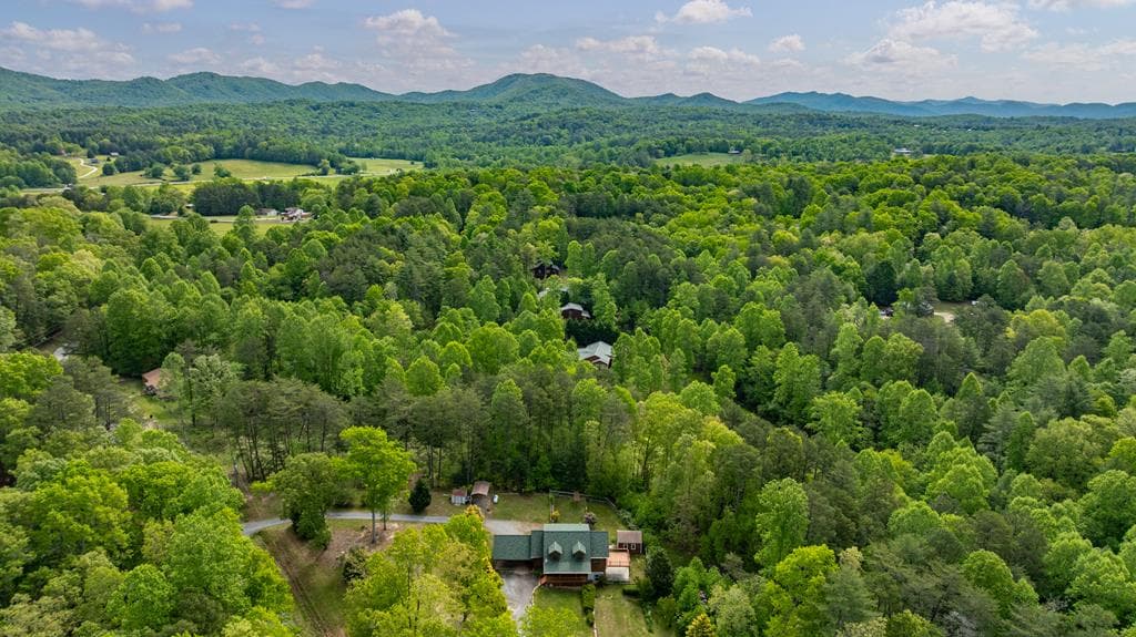 1881 E John Smith Road E, Blairsville GA 30512 - Photo