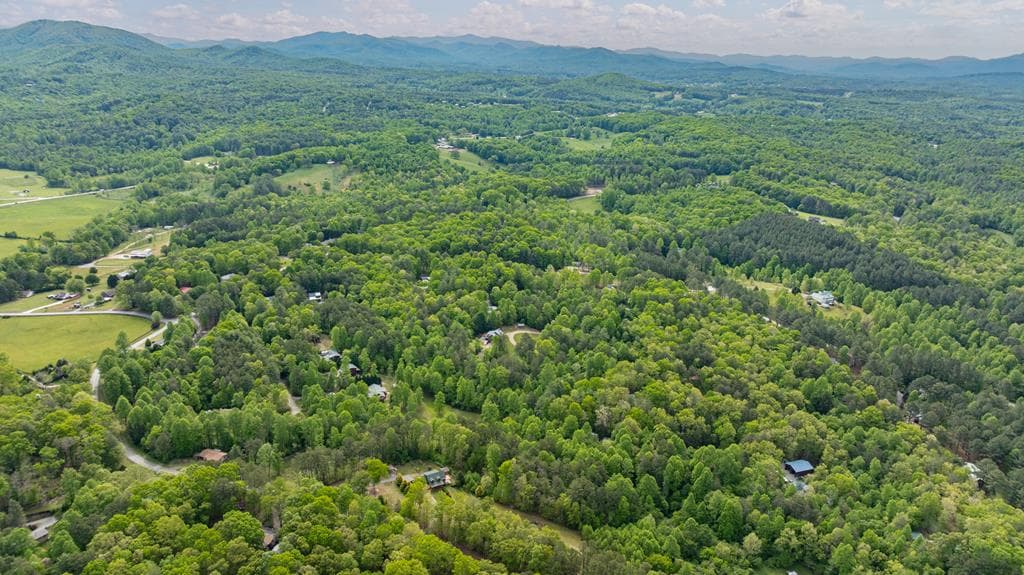 1881 E John Smith Road E, Blairsville GA 30512 - Photo