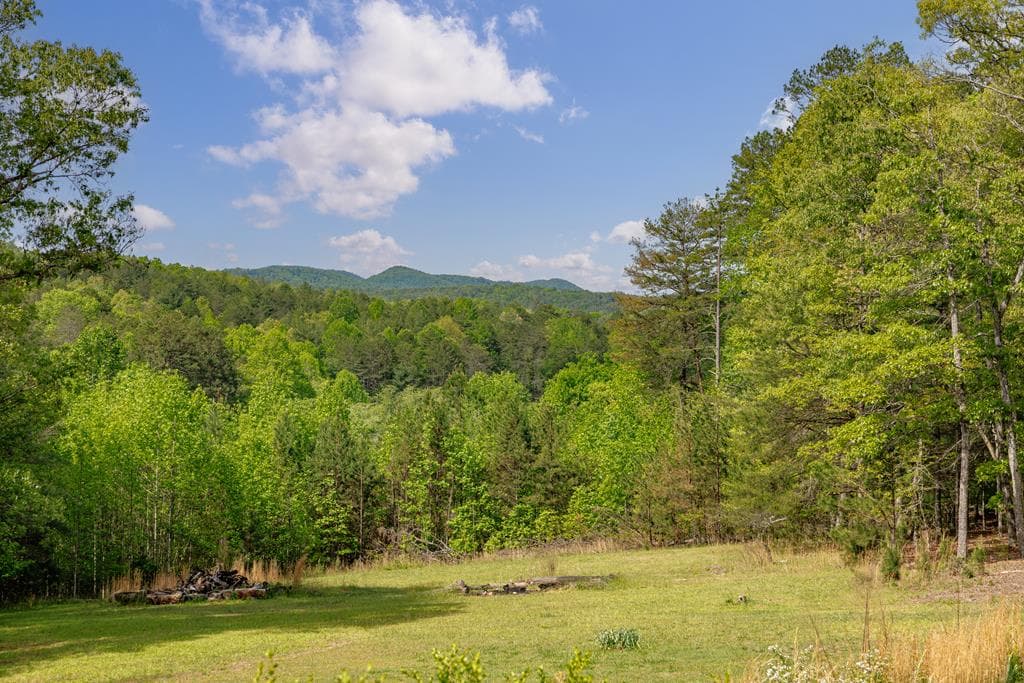 1881 E John Smith Road E, Blairsville GA 30512 - Photo