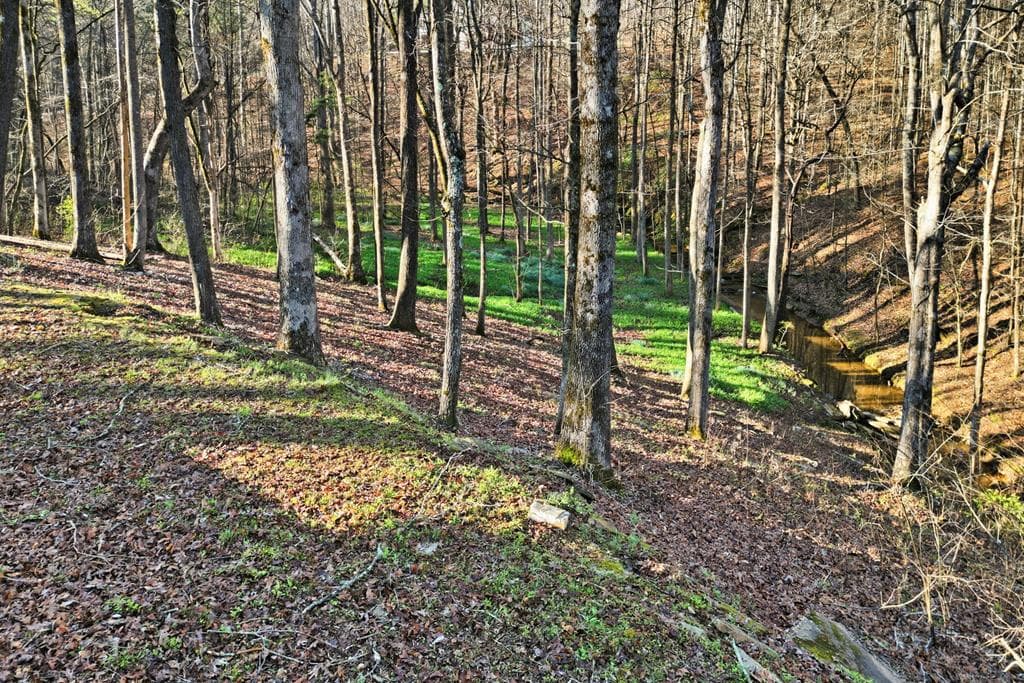 149 Hidden Creek Road, Jasper GA 30143 - Photo