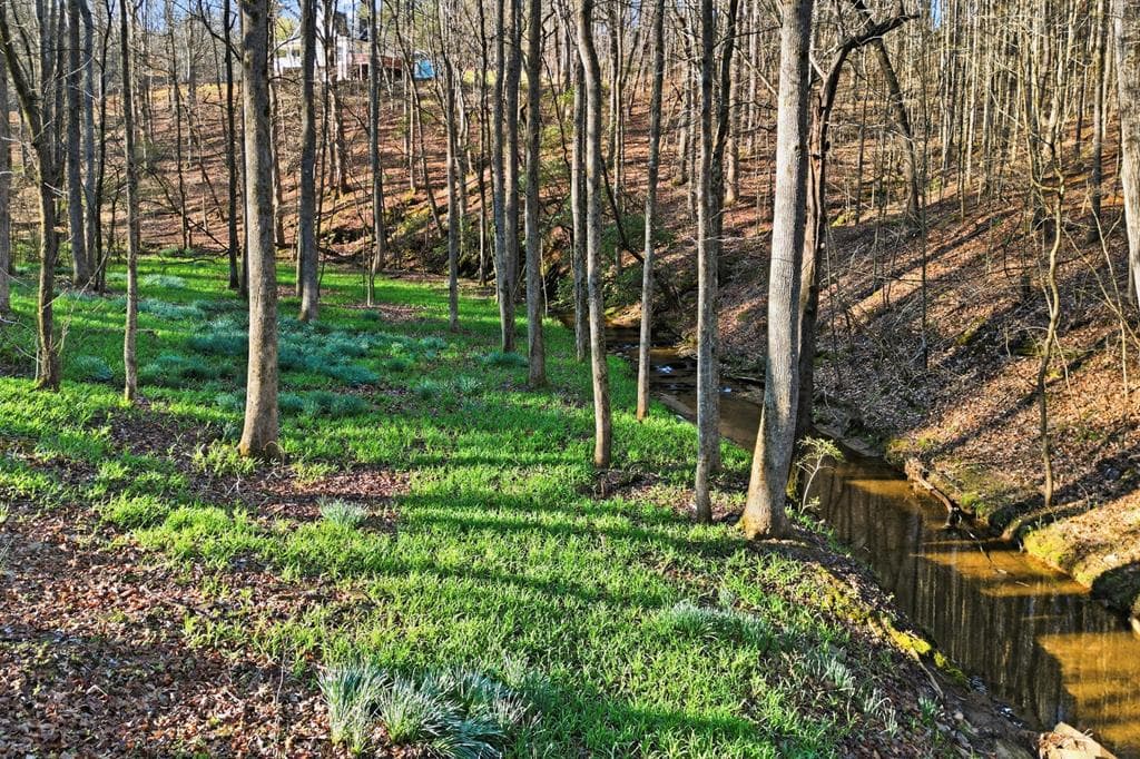 149 Hidden Creek Road, Jasper GA 30143 - Photo