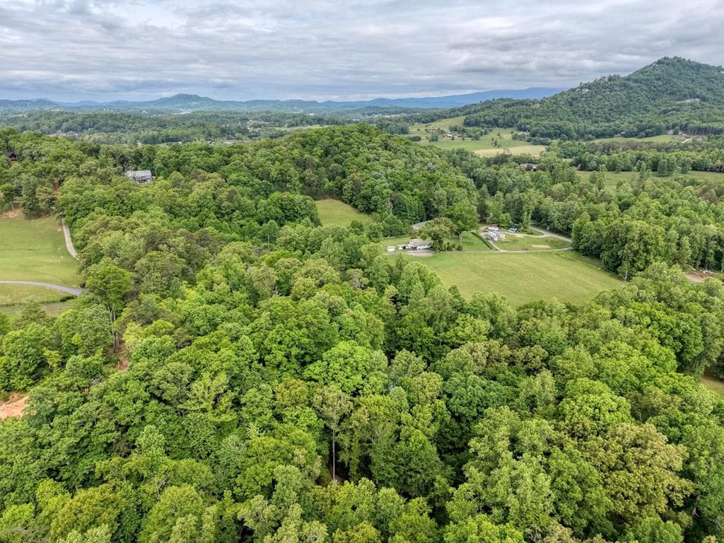 1568 Carlvin Road, Hiawassee GA 30546 - Photo
