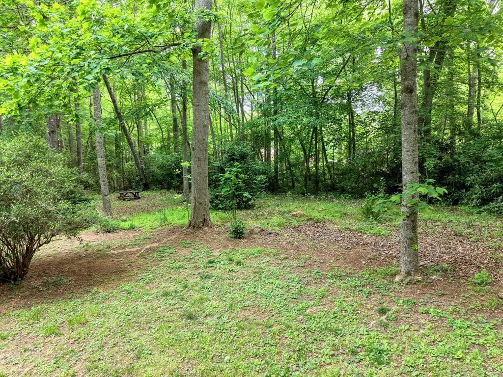 1568 Carlvin Road, Hiawassee GA 30546 - Photo