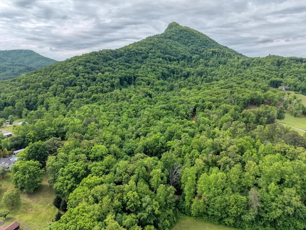 1568 Carlvin Road, Hiawassee GA 30546 - Photo