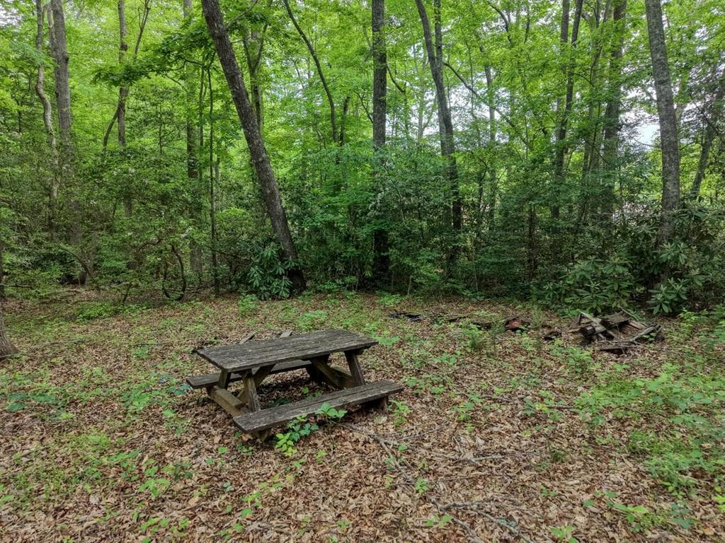 1568 Carlvin Road, Hiawassee GA 30546 - Photo