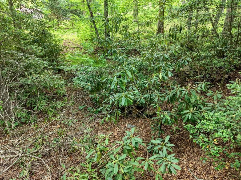 1568 Carlvin Road, Hiawassee GA 30546 - Photo