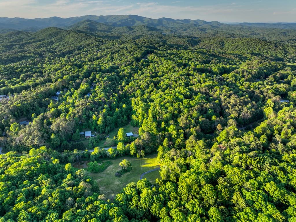 247 Craigtown Road, Ellijay GA 30540 - Photo