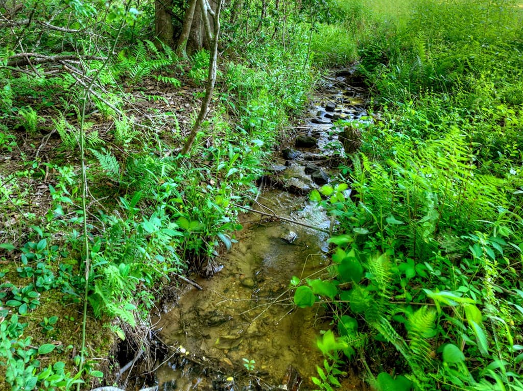 247 Craigtown Road, Ellijay GA 30540 - Photo