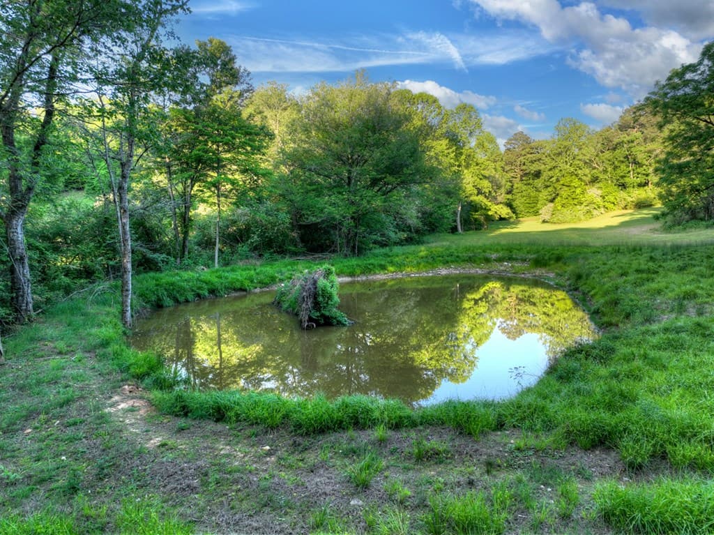 247 Craigtown Road, Ellijay GA 30540 - Photo