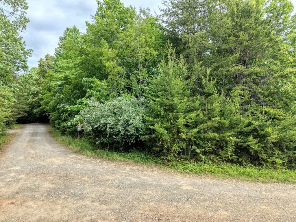 Tract 2 Oakmont Drive, Hiawassee GA 30546 - Photo