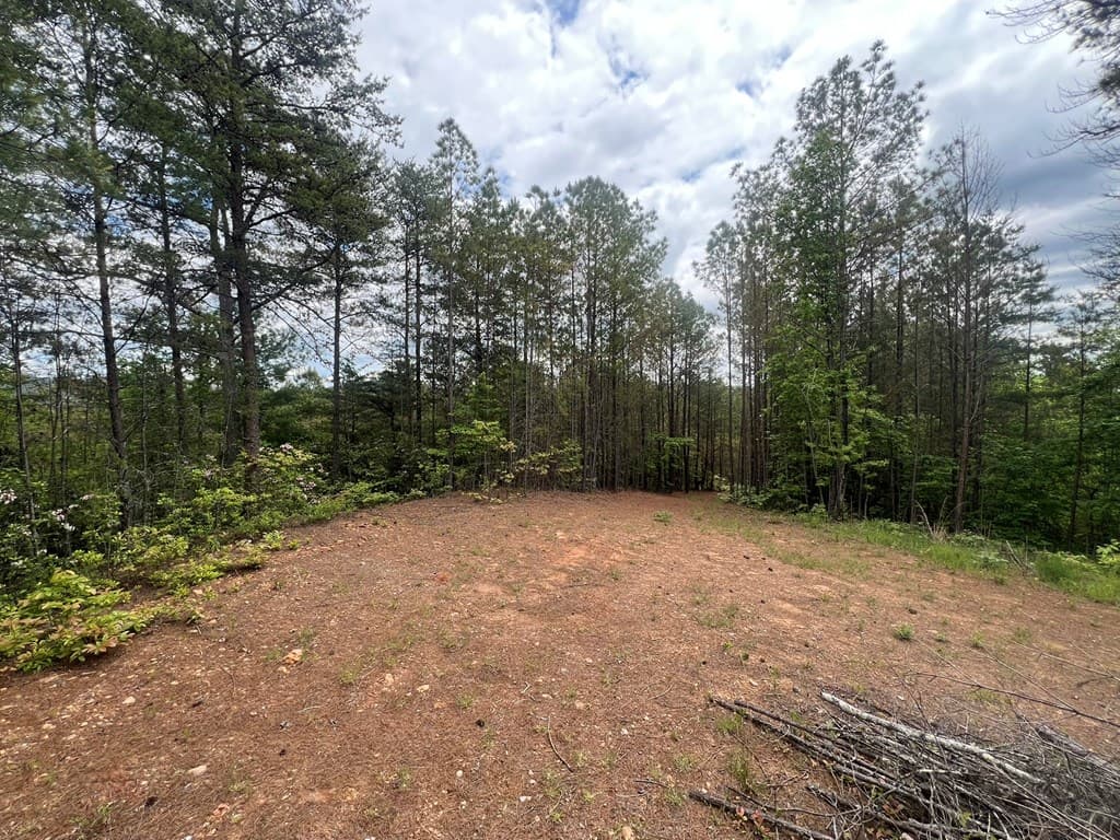 Lot 7 Skyline Drive, Turtletown TN 37391 - Photo