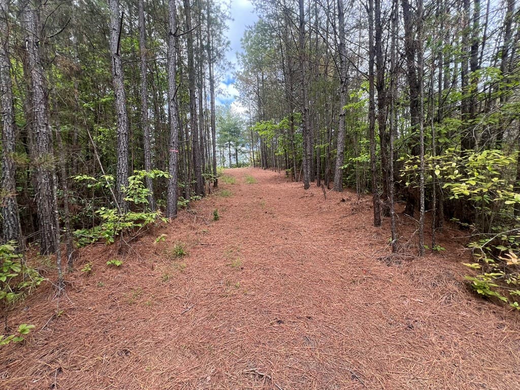 Lot 7 Skyline Drive, Turtletown TN 37391 - Photo