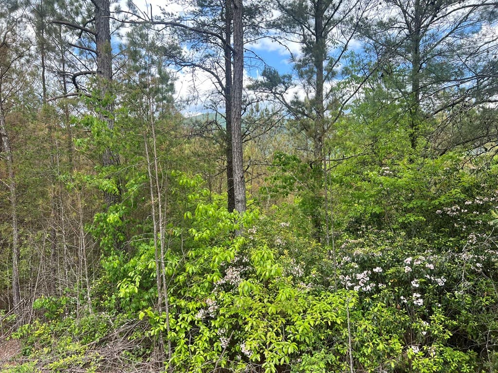 Lot 7 Skyline Drive, Turtletown TN 37391 - Photo