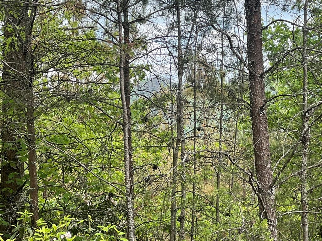 Lot 7 Skyline Drive, Turtletown TN 37391 - Photo