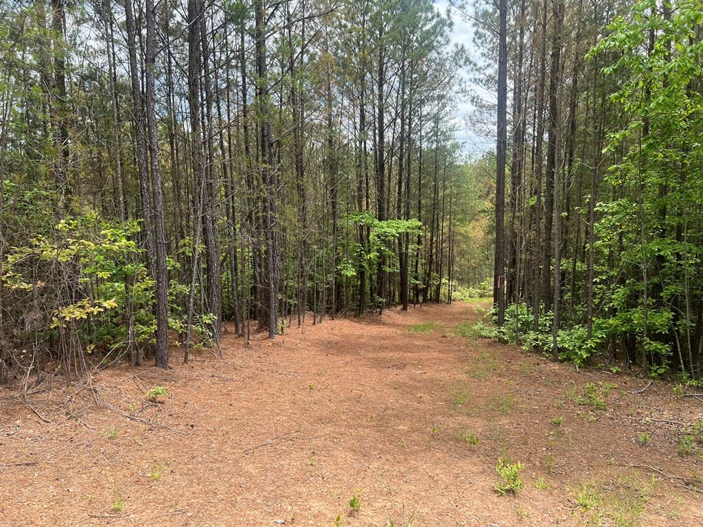 Lot 7 Skyline Drive, Turtletown TN 37391 - Photo