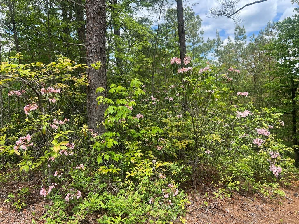 Lot 7 Skyline Drive, Turtletown TN 37391 - Photo